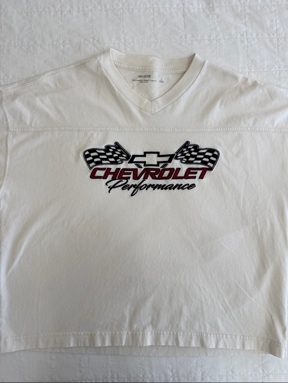 Hollister Cream Heavyweight Baggy Crop V-Neck Tee with Graphic, Men’s Size L